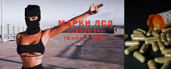 прущий лед Лагань