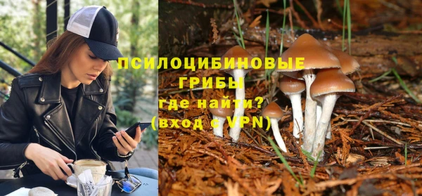 прущий лед Лагань