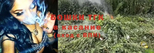 spice Ладушкин