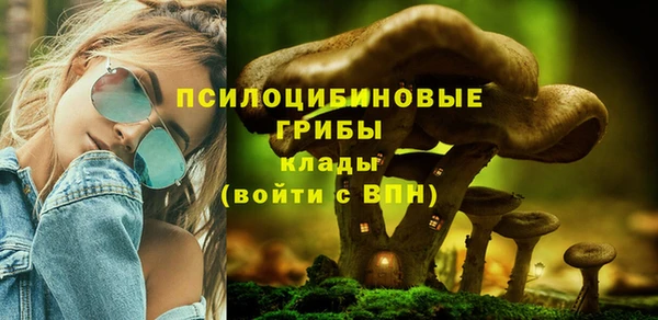 прущий лед Лагань