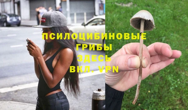 МДМА Лабытнанги
