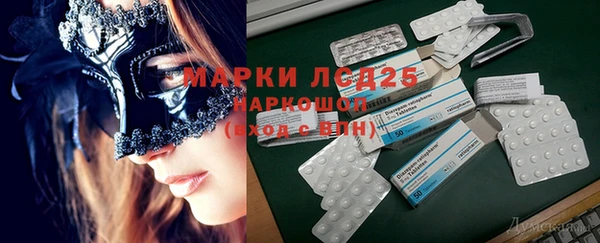 spice Ладушкин