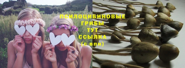 МДМА Лабытнанги