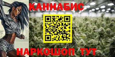 сатива Аргун