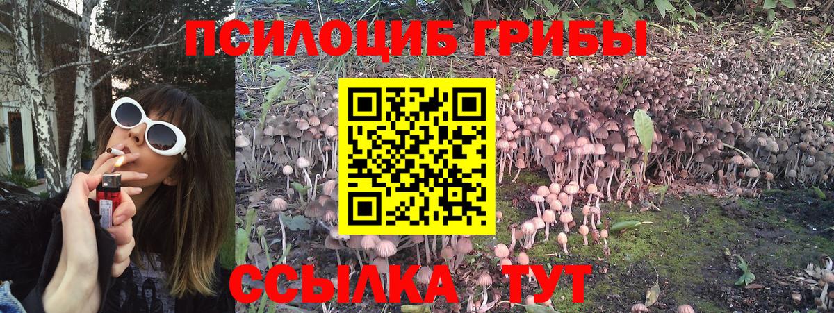 Псилоцибиновые грибы Magic Shrooms Сунжа