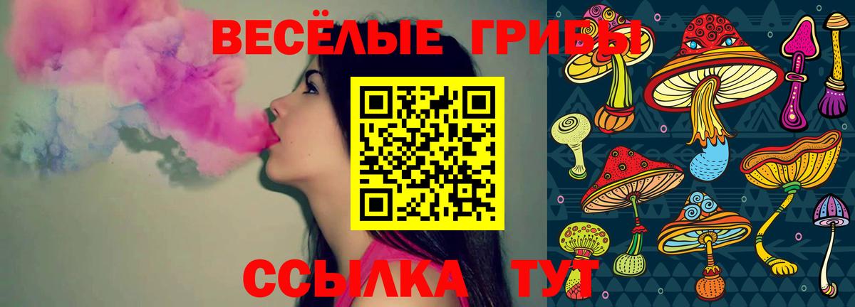 Галлюциногенные грибы GOLDEN TEACHER Сунжа