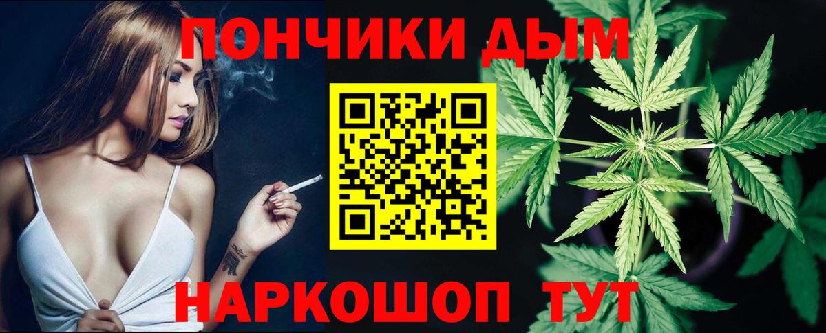 Канабис OG Kush Сунжа